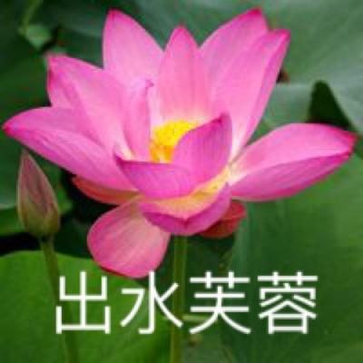 御界神纪破解游戏下载